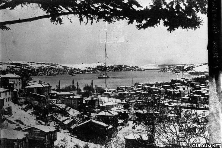 Beylerbeyi. 1910    88.208