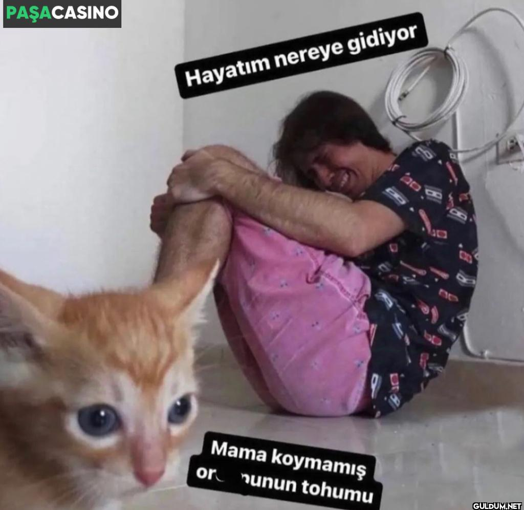 PAŞACASINO Hayatım nereye...