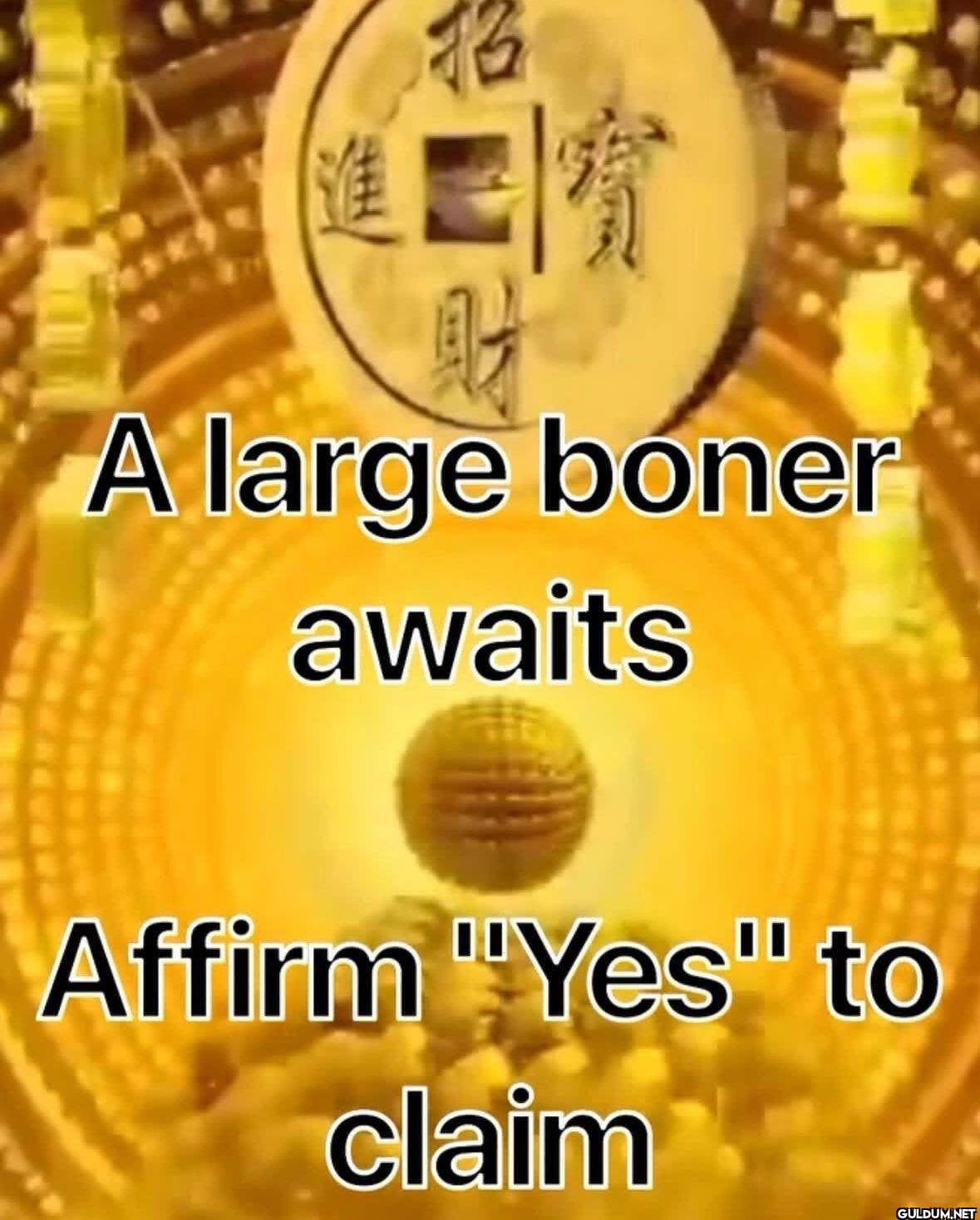 HH 寶 A large boner awaits...