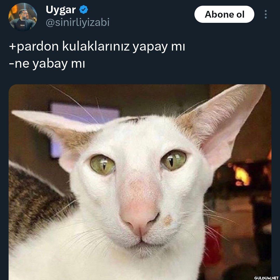 +pardon kulaklarınız yapay...