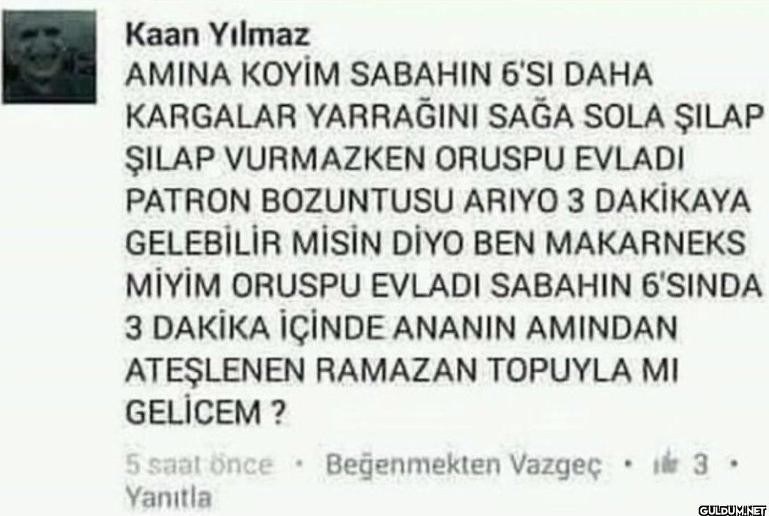 Kaan Yılmaz AMINA KOYİM...