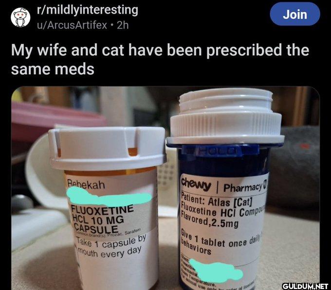 ㅤ    r/mildlyinteresting...