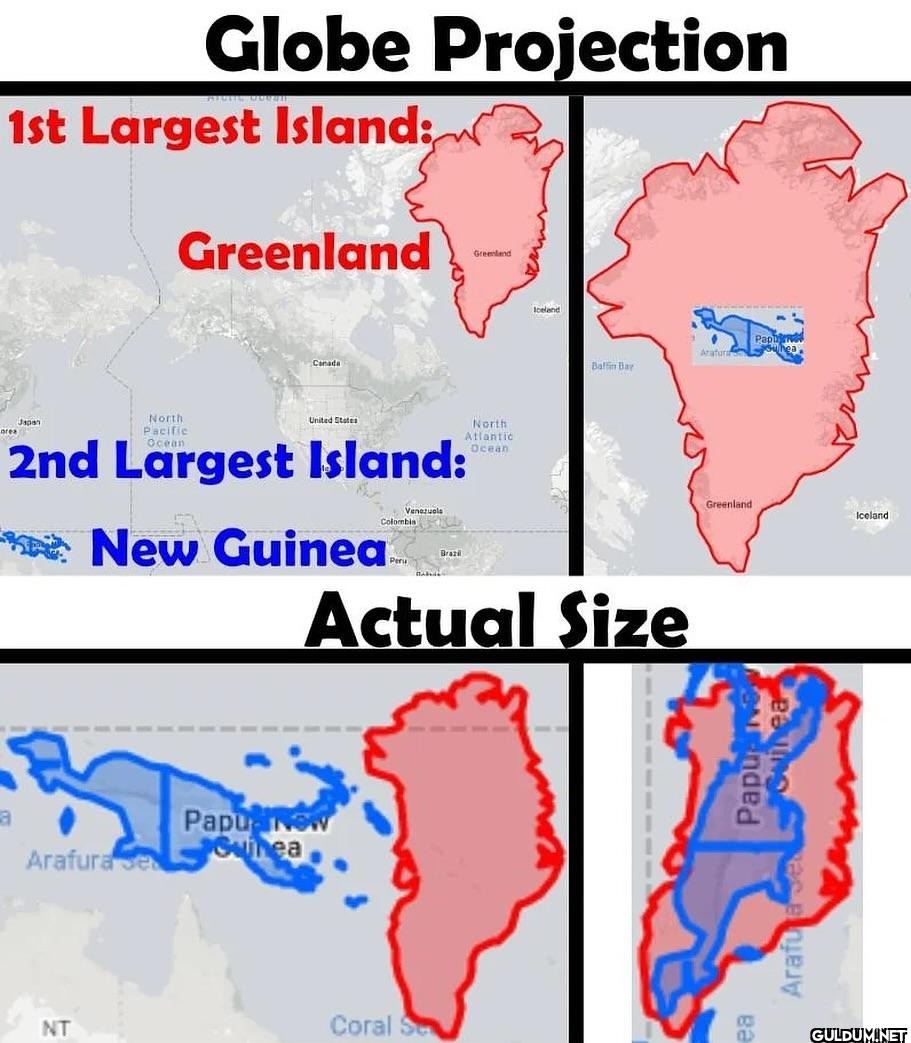 When comparing the real...