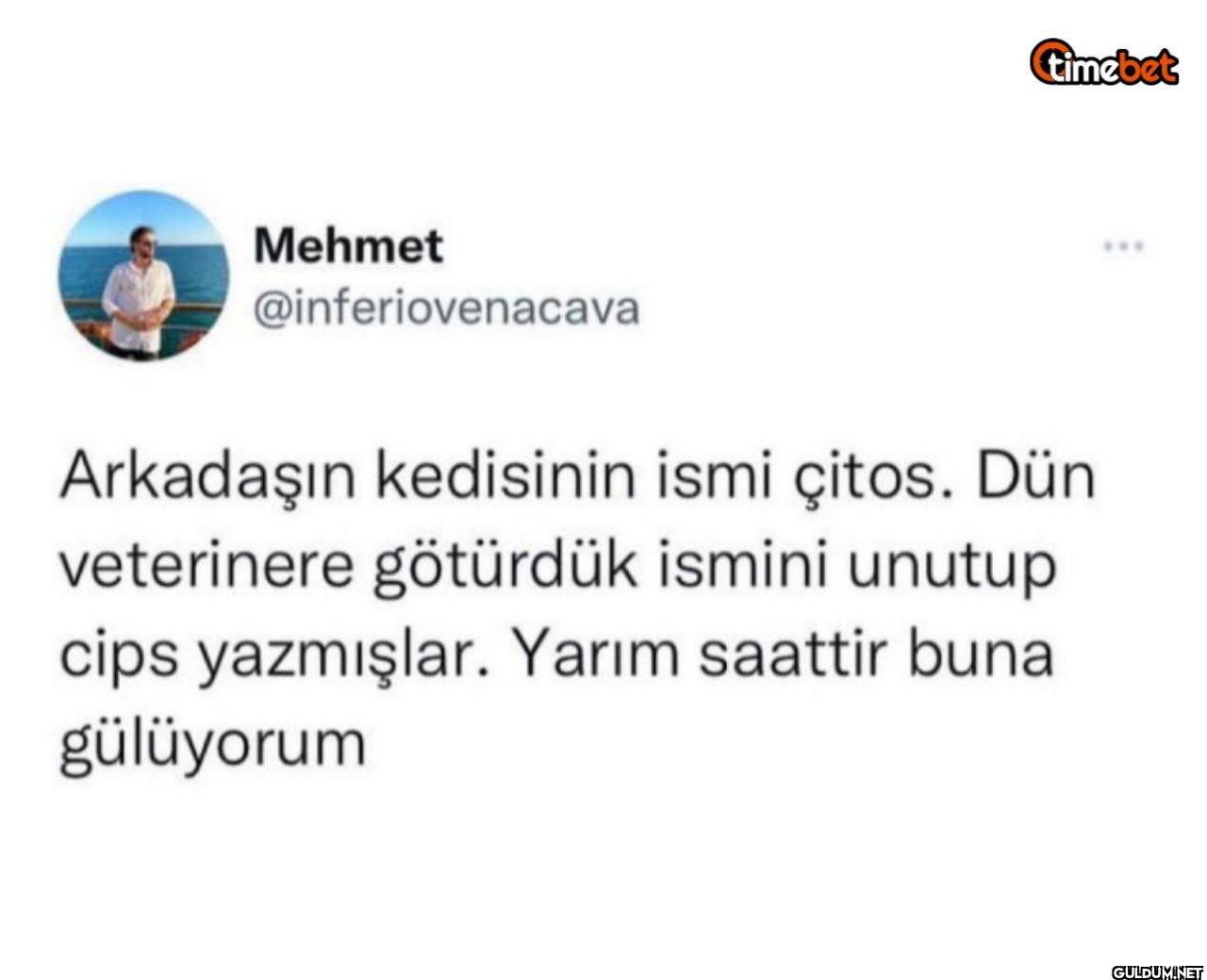 Arkadaşın kedisinin ismi...