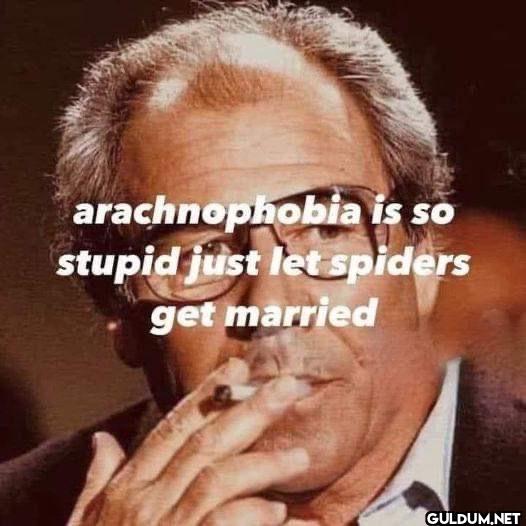 arachnophobia is so stupid...