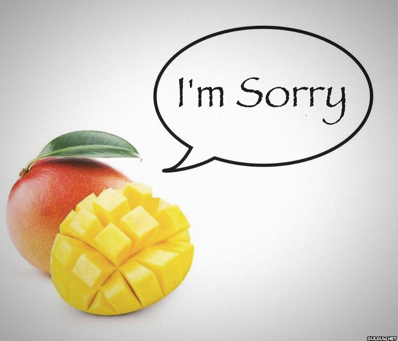 I'm Sorry