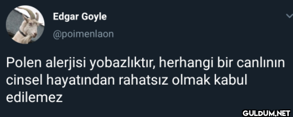 Polen alerjisi...