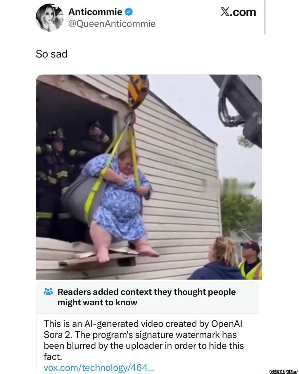 Another AI video.    So...
