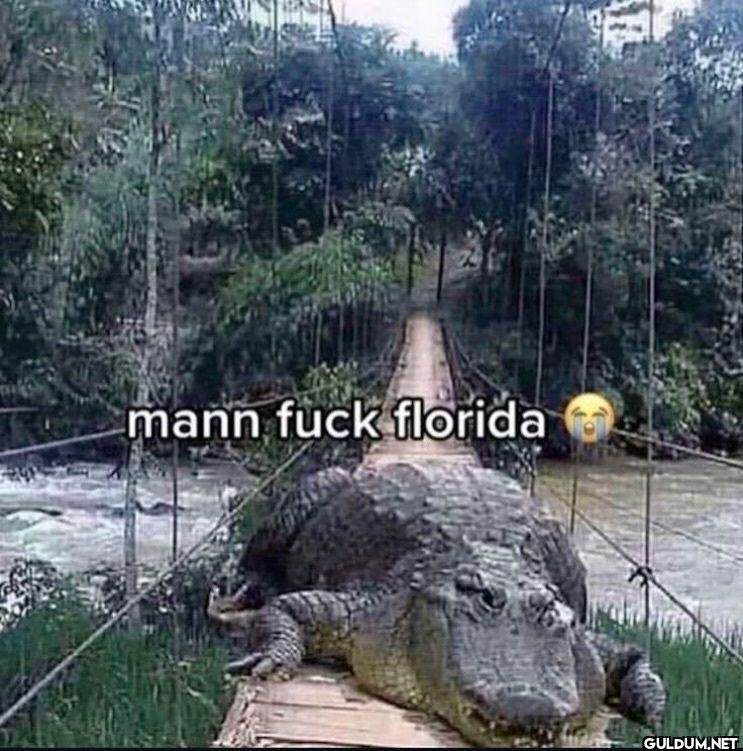 mann fuck florida