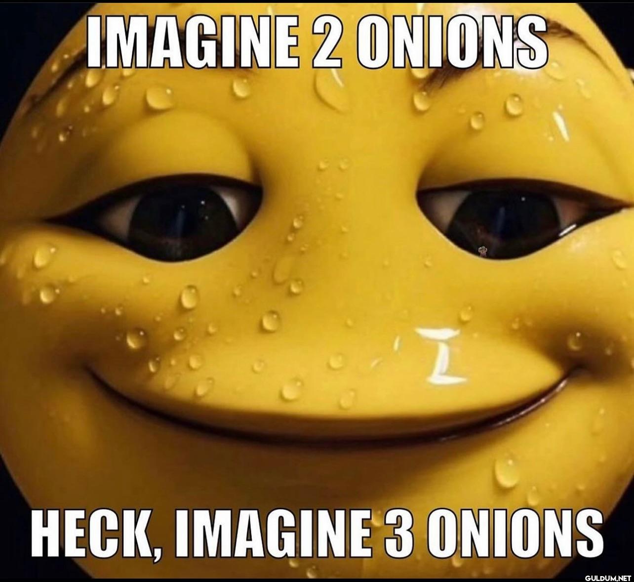 ︎ ︎    IMAGINE 2 ONIONS...