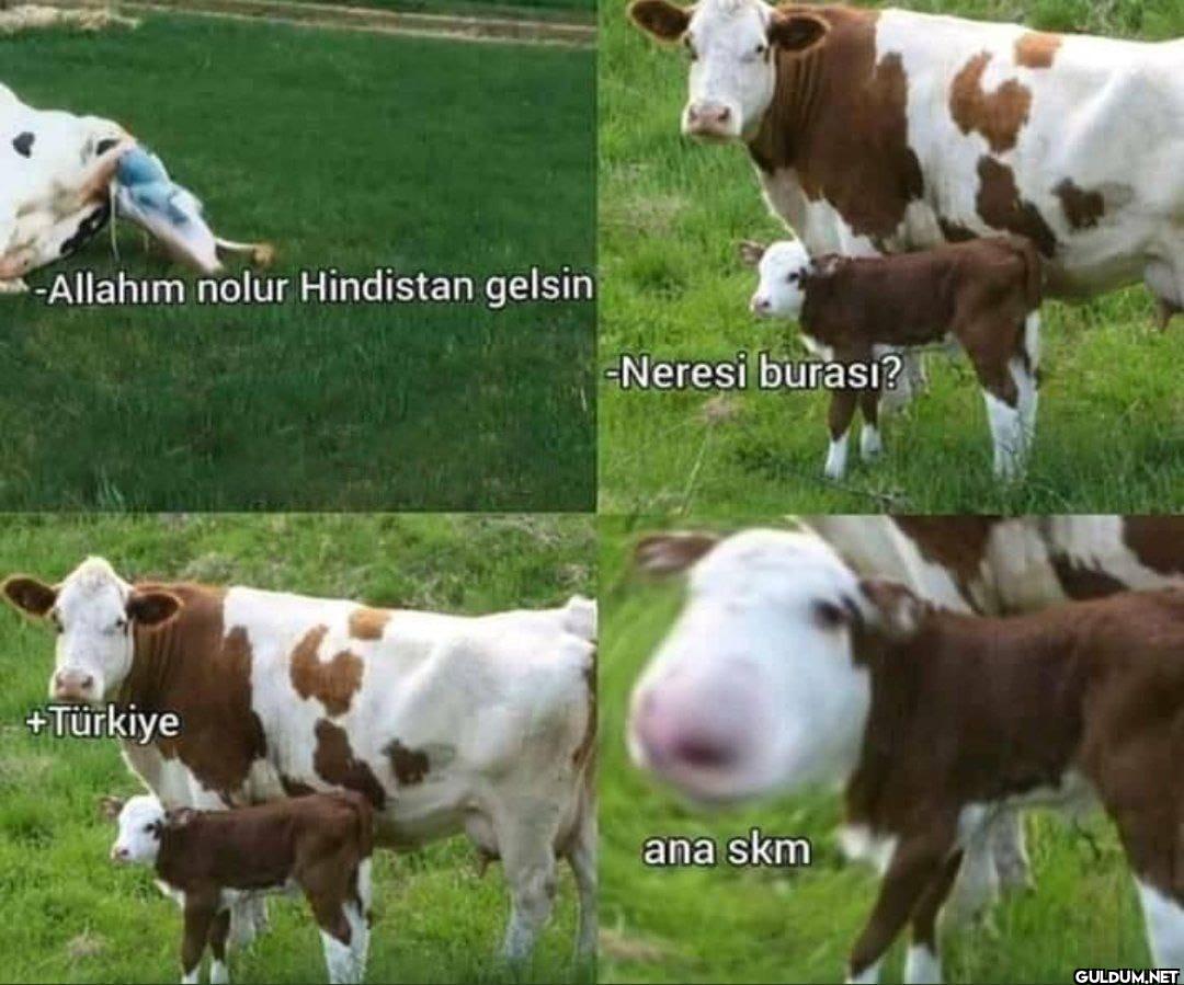 -Allahım nolur Hindistan...