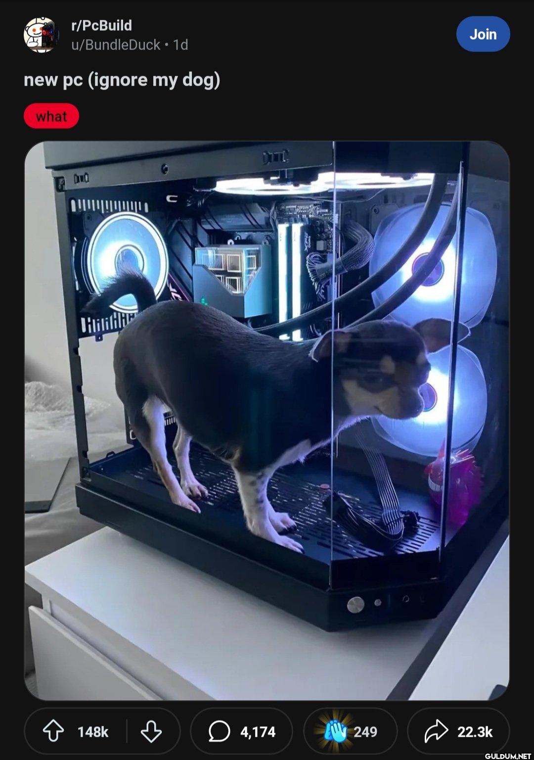 r/PcBuild u/BundleDuck •...