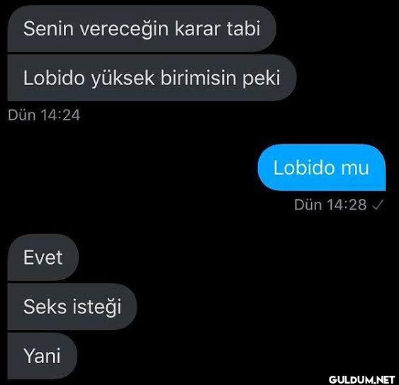 lobido    Senin vereceğin...