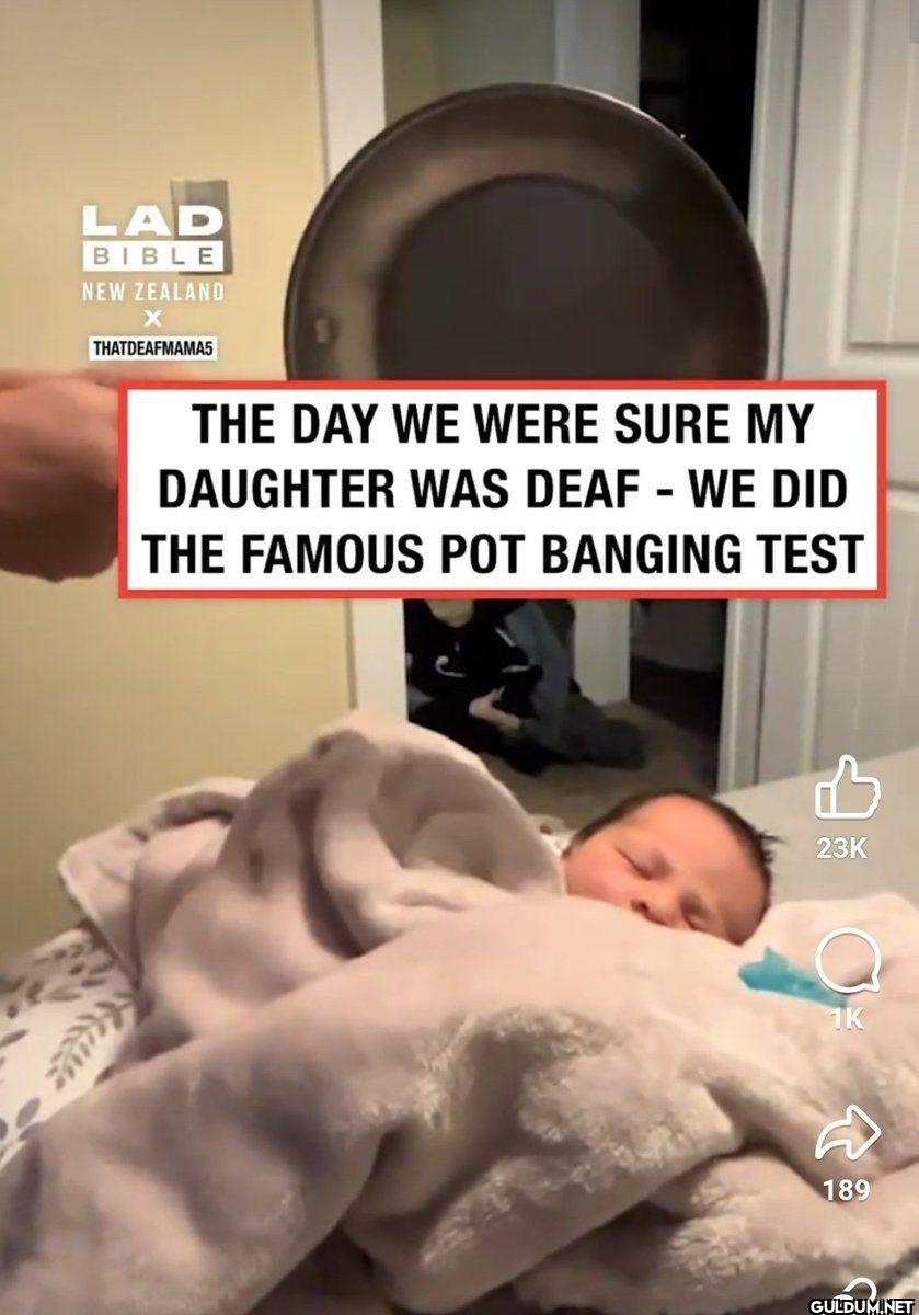 LAD BIBLE NEW ZEALAND X...