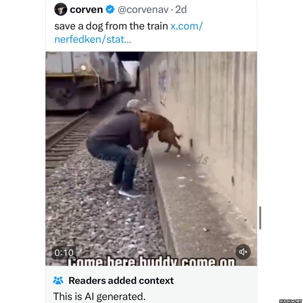 2d save a dog from the...