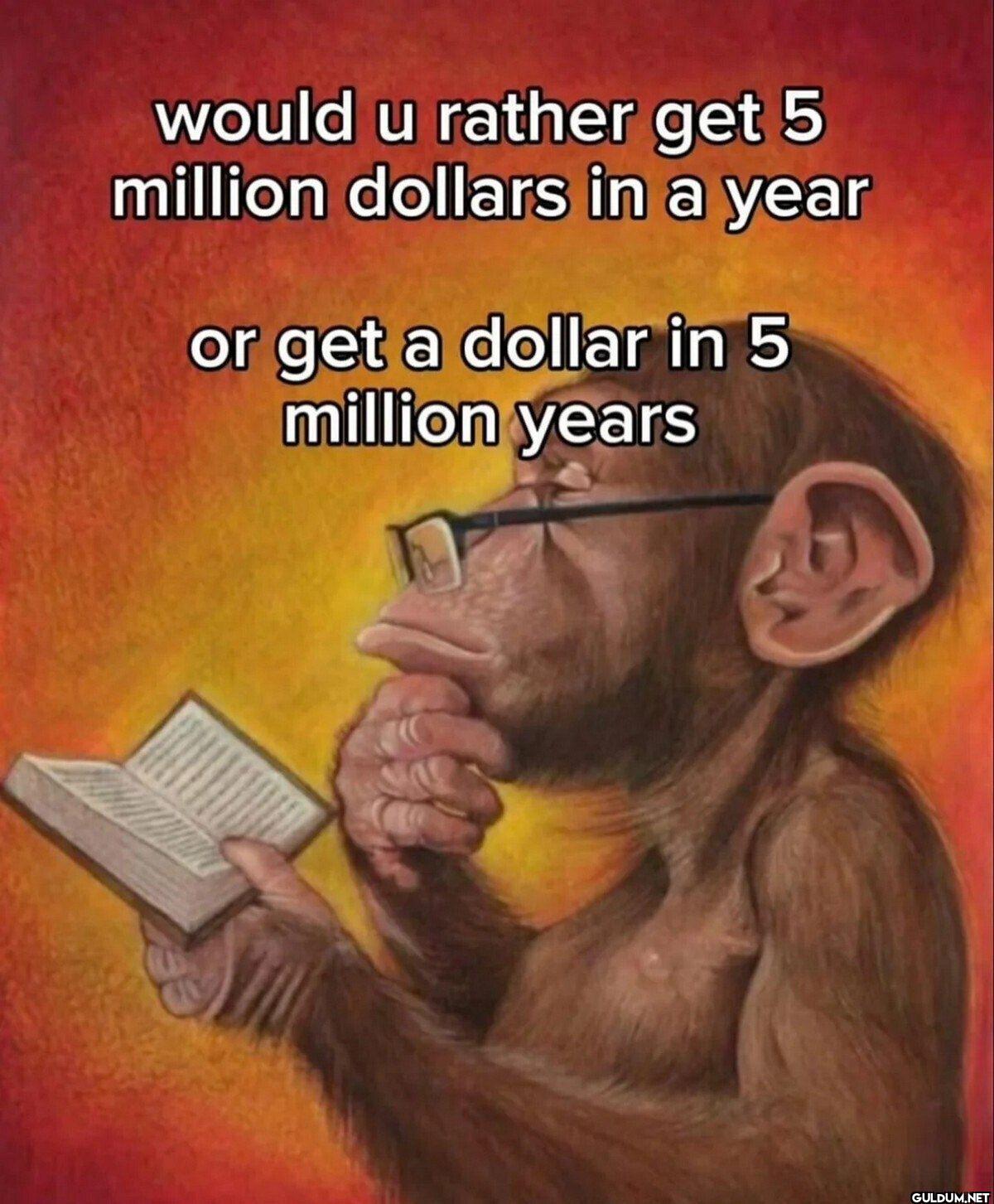 would u rather get 5...
