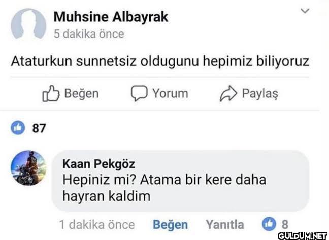 n Muhsine Albayrak 5...