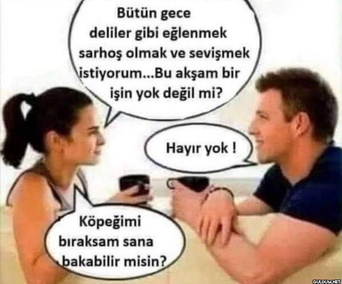 Bütün gece deliler gibi...