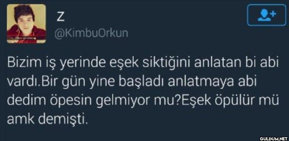 Bizim iş yerinde eşek...