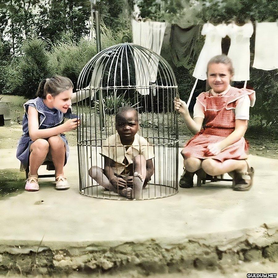 4. A picture from 1955,...