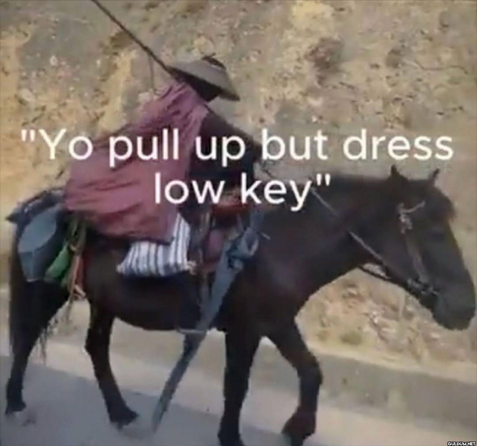 Yo pull up but dress low key