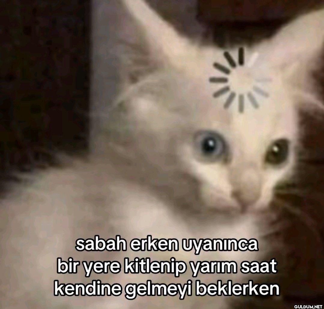 sabah erken uyanınca bir...