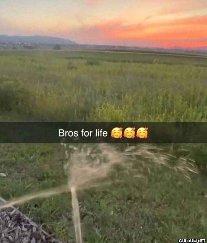 Bros for life