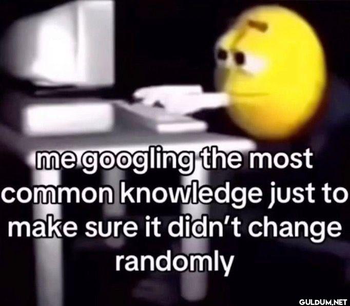 me googling the most...