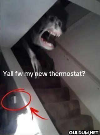 Yall fw my new thermostat?