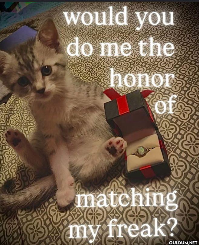 would you do me the honor...