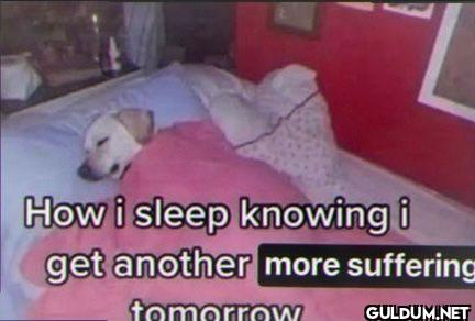 How i sleep knowing i get...