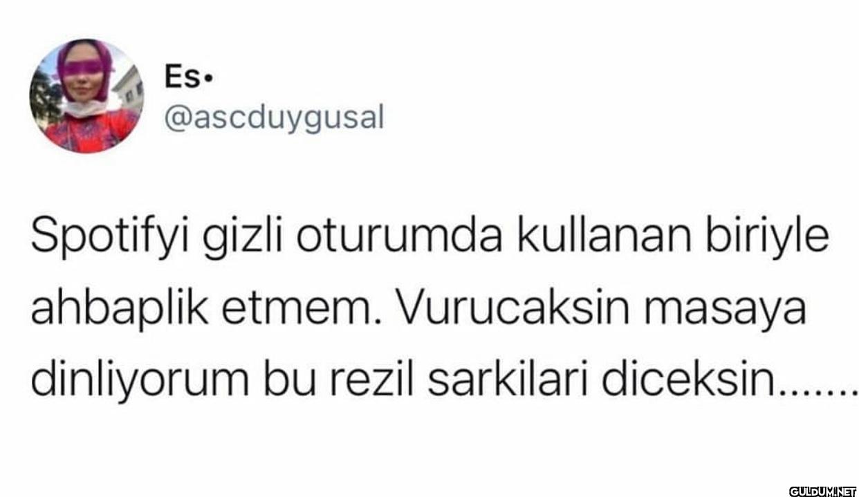 Spotifyi gizli oturumda...
