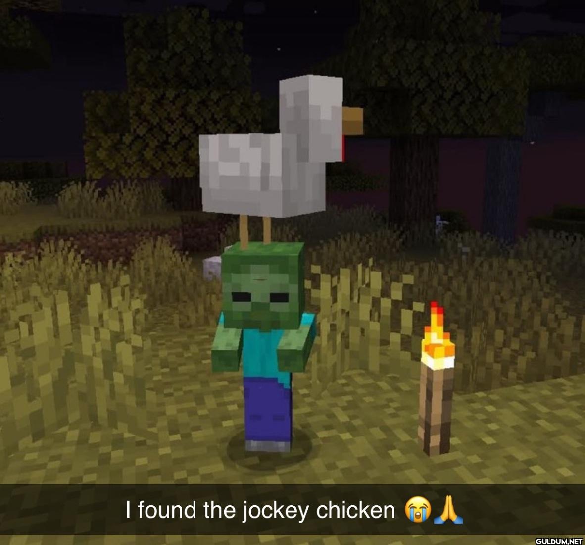 I found the jockey chicken