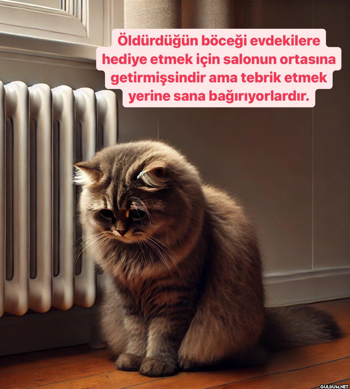 Öldürdüğün böceği...