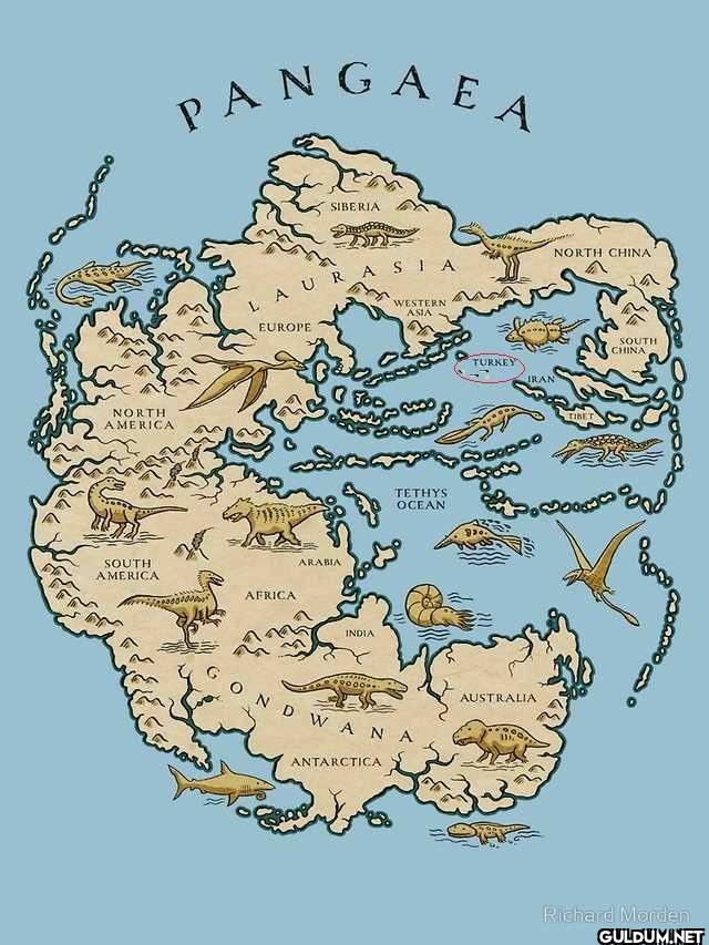 🦕 Neden Türkiye'de dinozor...