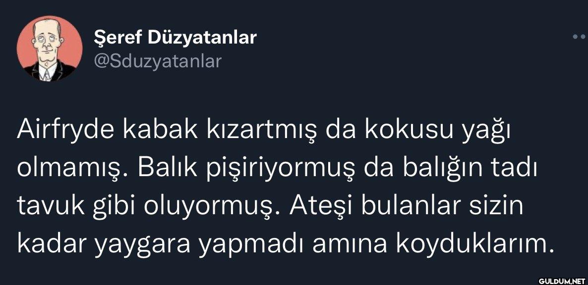 Airfryde kabak kızartmış...