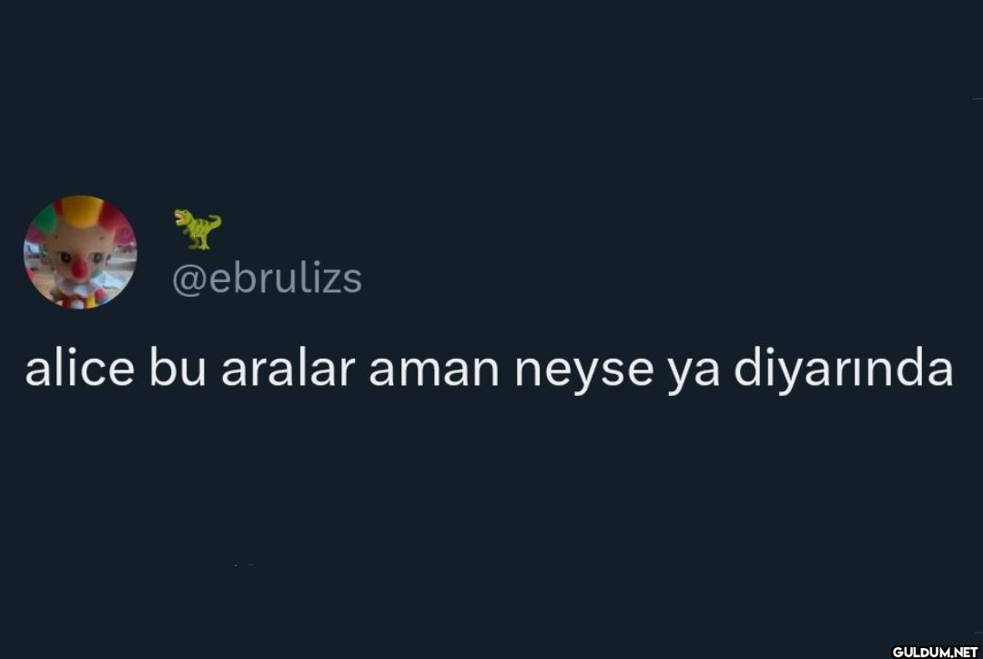 alice bu aralar aman neyse...