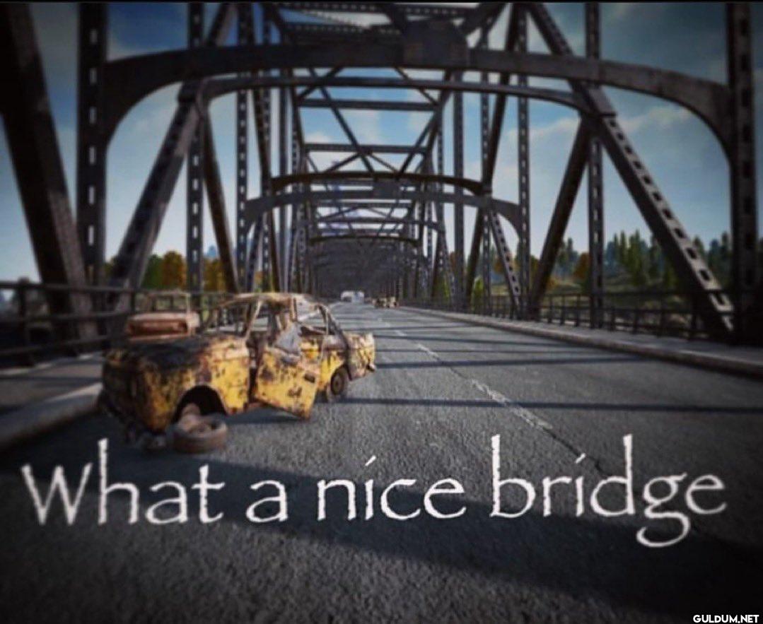 13. What a nice bridge