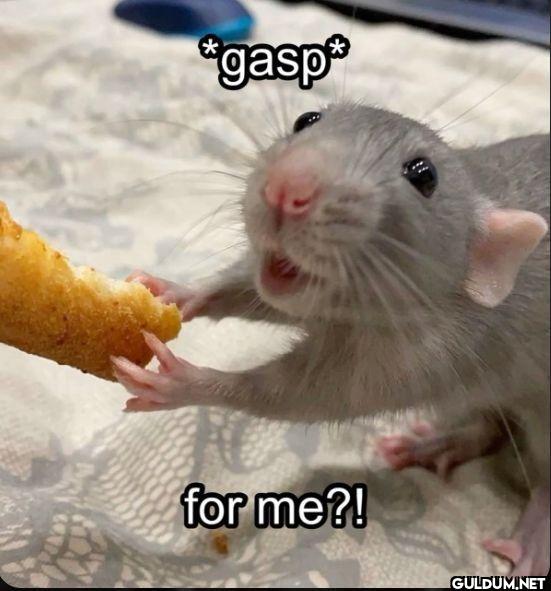 ︎ ︎ ︎ ︎ ︎ ︎ ︎    *gasp* for me?!