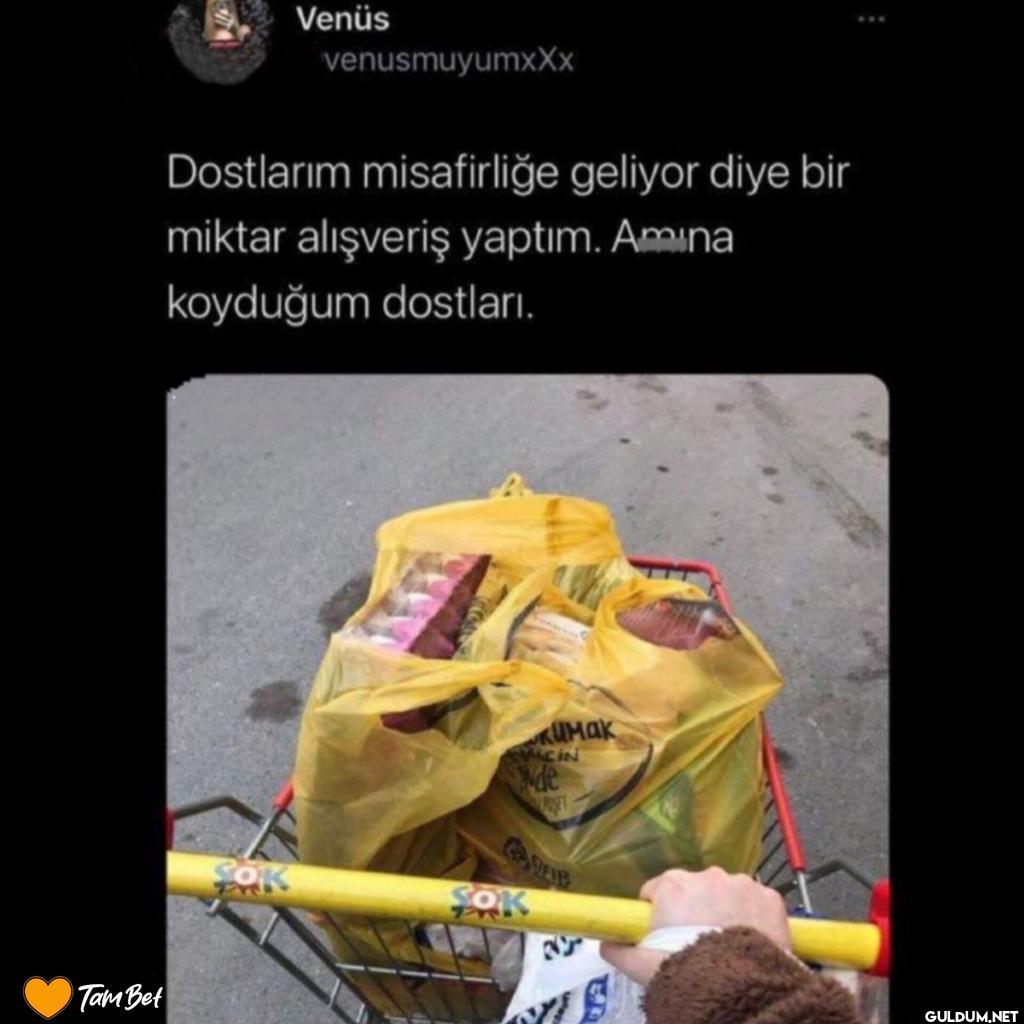 Tam Bet Venüs...
