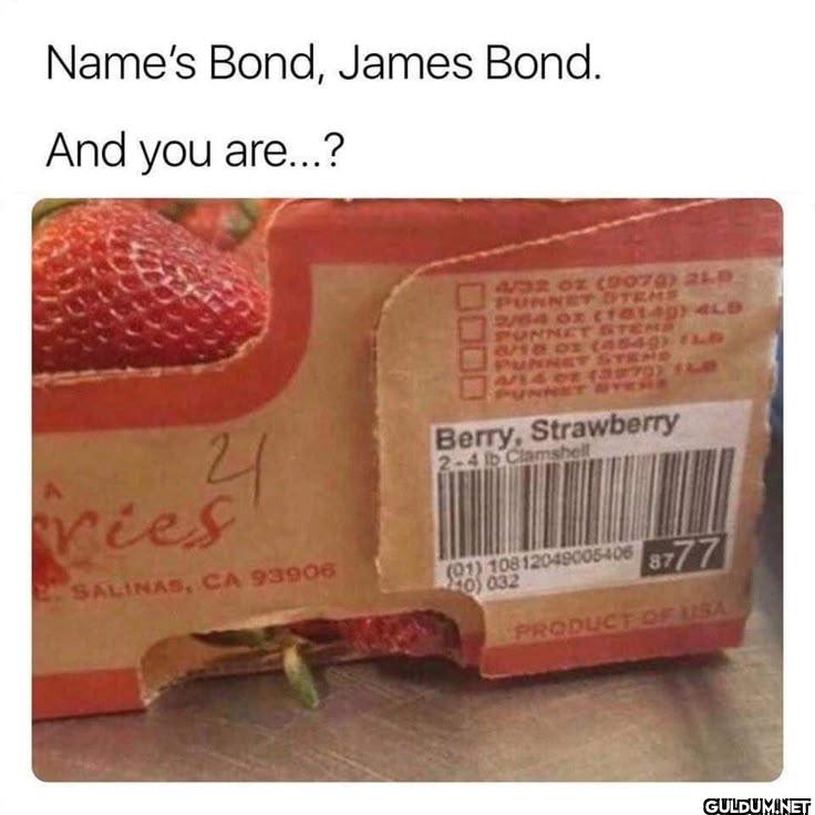 ︎ ︎ ︎ ︎︎ ︎ ︎ ︎    Name's...