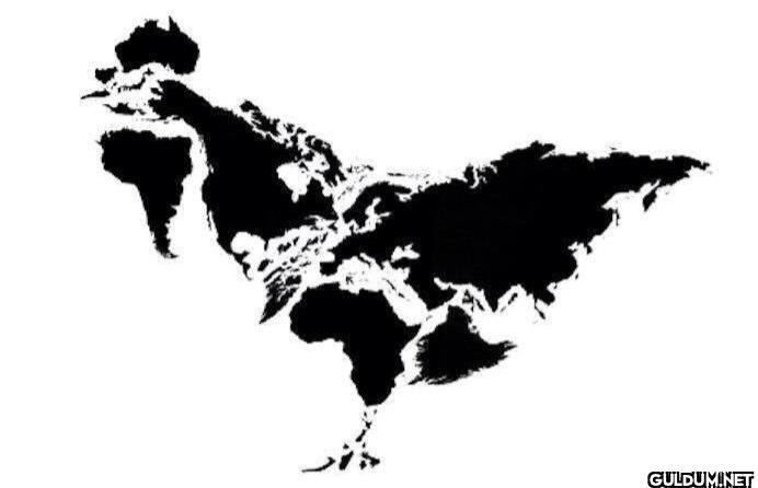 The continents can be...