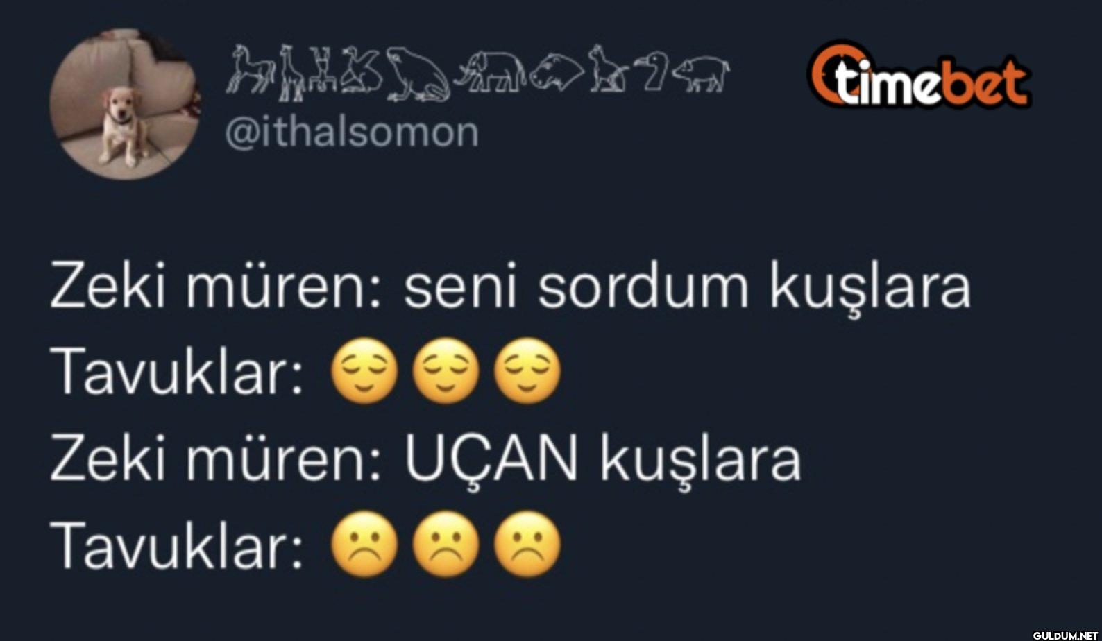 timebet Zeki müren: seni...