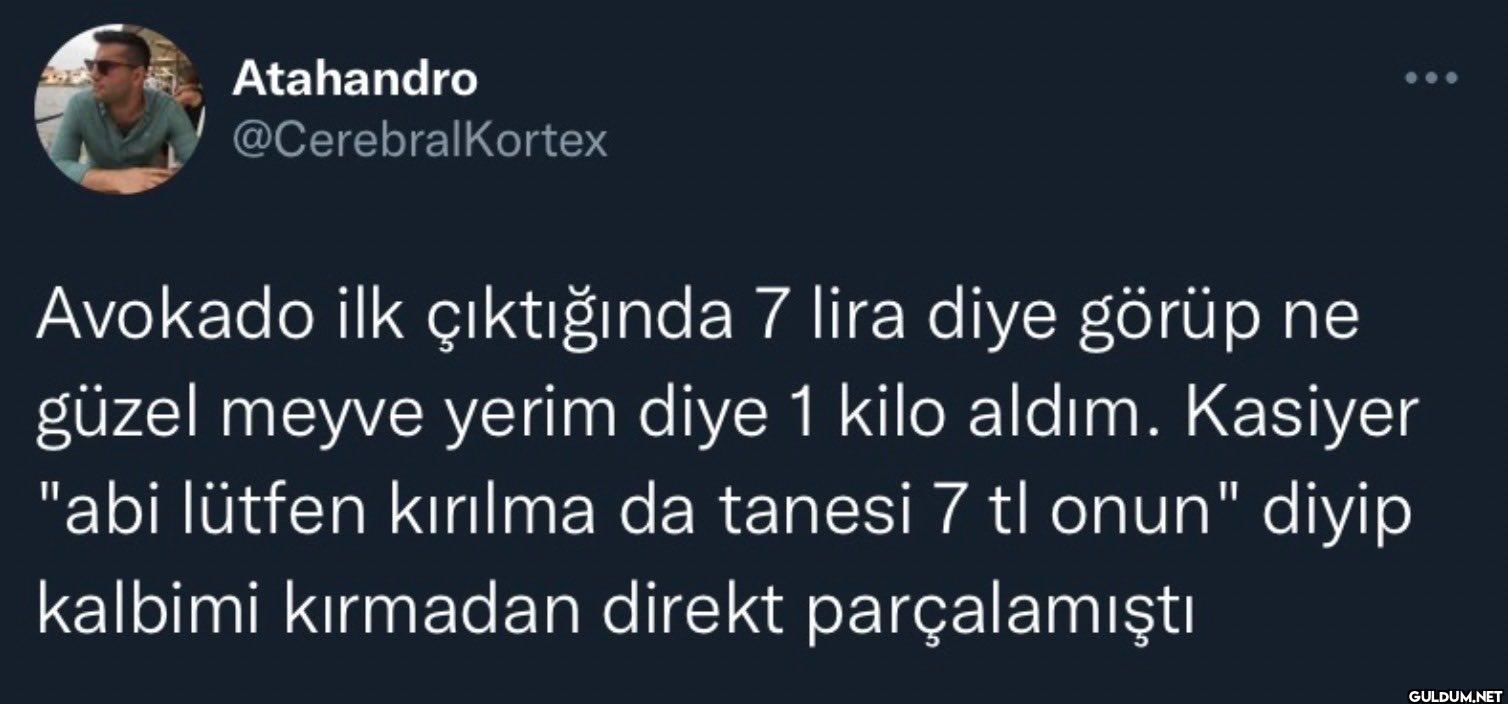 Avokado ilk çıktığında 7...