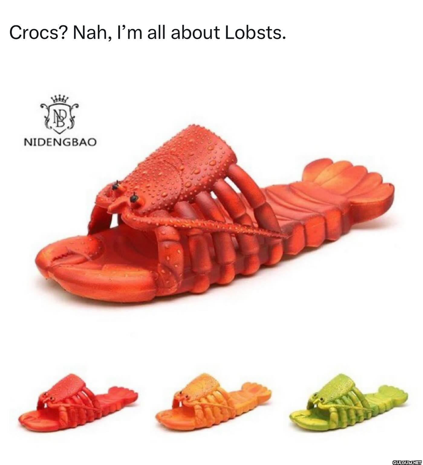 Flopsters    Crocs? Nah,...