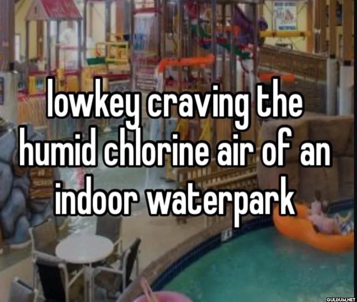 lowkey craving the humid...