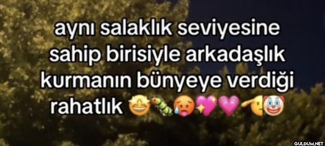aynı salaklık seviyesine...