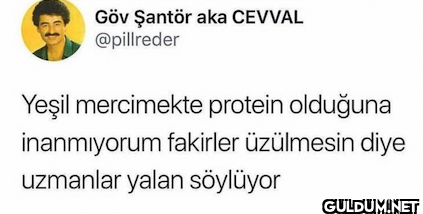 Yeşil mercimekte protein...