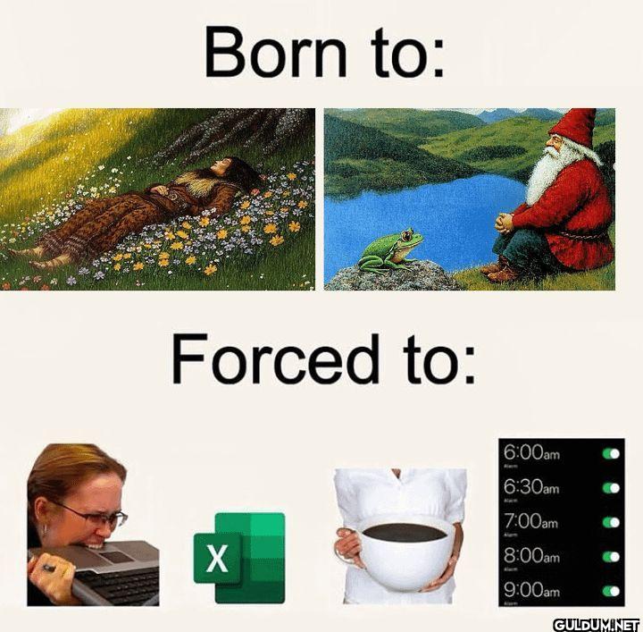 Born to Forced to