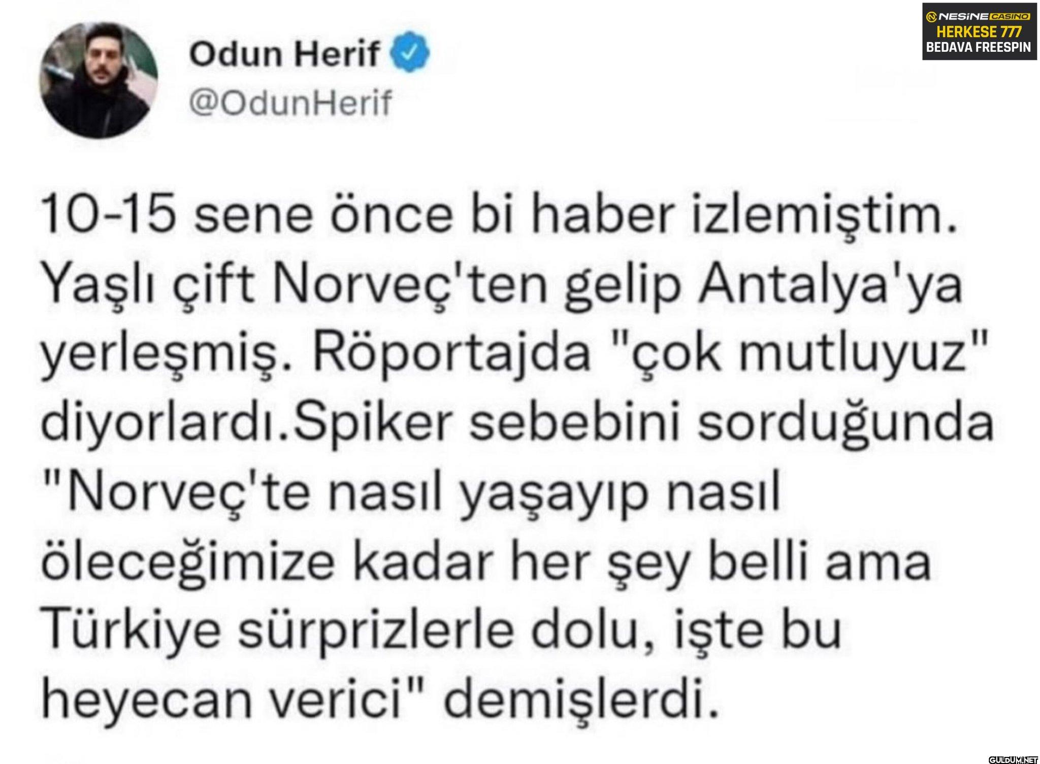 Beleş survivor    NESINE...